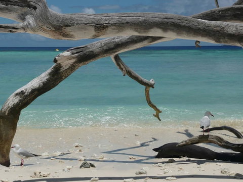 Beach Club Port Douglas Luxury Apartments - Accommodation Brunswick Heads 23