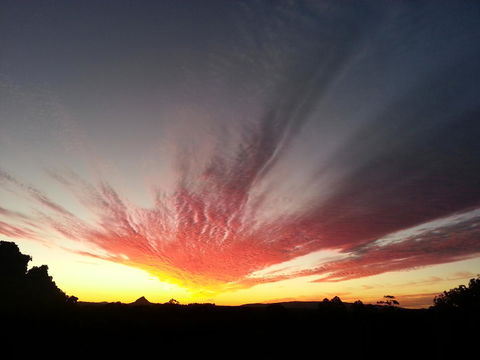 Ivory Palms Resort Noosa - Accommodation Brunswick Heads 13