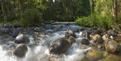 Silky Oaks Lodge - Accommodation Brunswick Heads 20