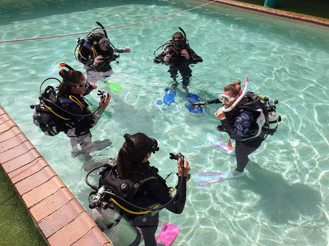 Backpackers In Paradise 18-35 Hostel - Accommodation Brunswick Heads 18