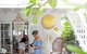Jamaica Beach House - thumb 5
