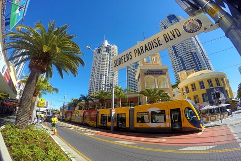Seacrest Beachfront Apartments Surfers Paradise - Accommodation Brunswick Heads 39