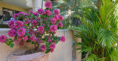 Villa San Michele (Official) - Accommodation Brunswick Heads 4