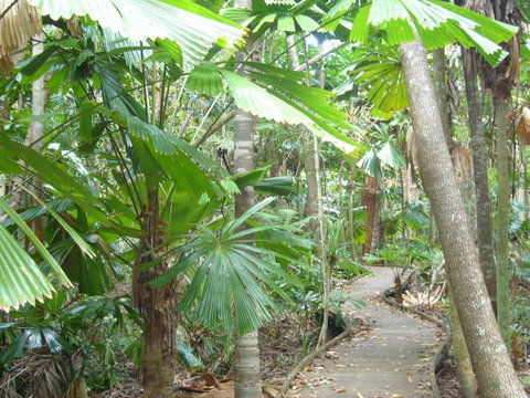 Port Douglas Retreat - Accommodation Brunswick Heads 18