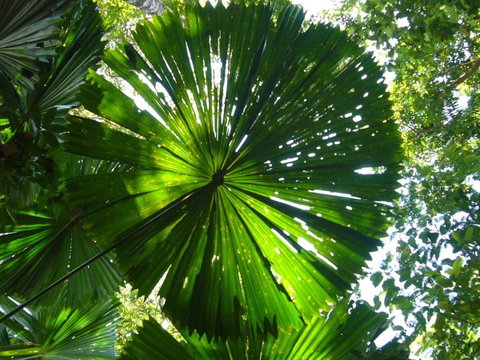 Port Douglas Retreat - Accommodation Brunswick Heads 19