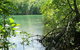 Port Douglas Retreat - thumb 17