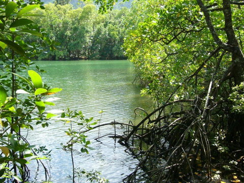 Port Douglas Retreat - Accommodation Brunswick Heads 17