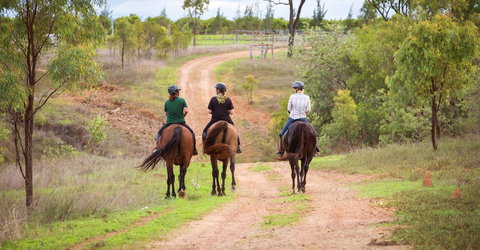 Ironbark House - Accommodation Brunswick Heads 22