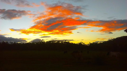 Ironbark House - Accommodation Brunswick Heads 32