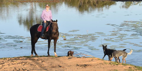 Ironbark House - Accommodation Brunswick Heads 39