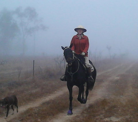 Ironbark House - Accommodation Brunswick Heads 37