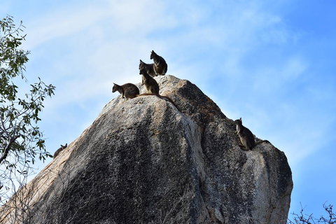 Ironbark House - Accommodation Brunswick Heads 38