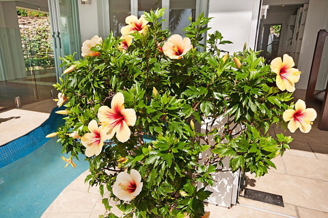 15 Wharf Street - Accommodation Brunswick Heads 25