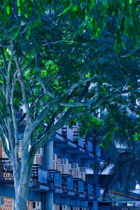 Soho Brisbane - Accommodation Brunswick Heads 12
