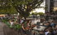 Rydges Fortitude Valley - thumb 22