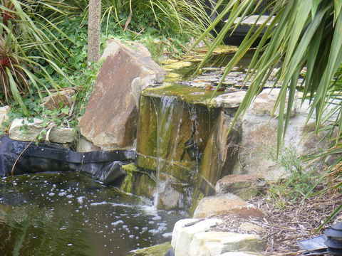 Weeroona Bed And Breakfast - Accommodation Brunswick Heads 2