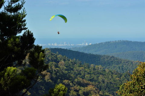 Willow Cabin - Accommodation Brunswick Heads 1