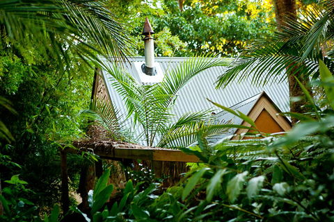 Witches Falls Cottages - Accommodation Brunswick Heads 0