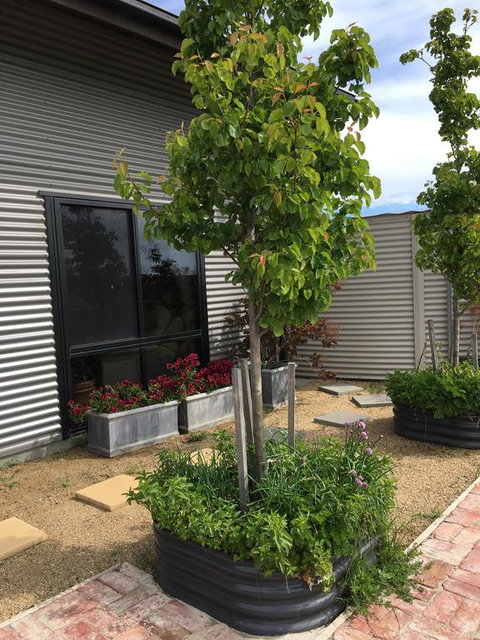 Woolamai Dreaming - Accommodation Brunswick Heads 2