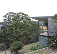 Woollybutt - Accommodation Brunswick Heads