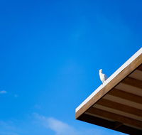 Wye Not Escape - Accommodation Brunswick Heads