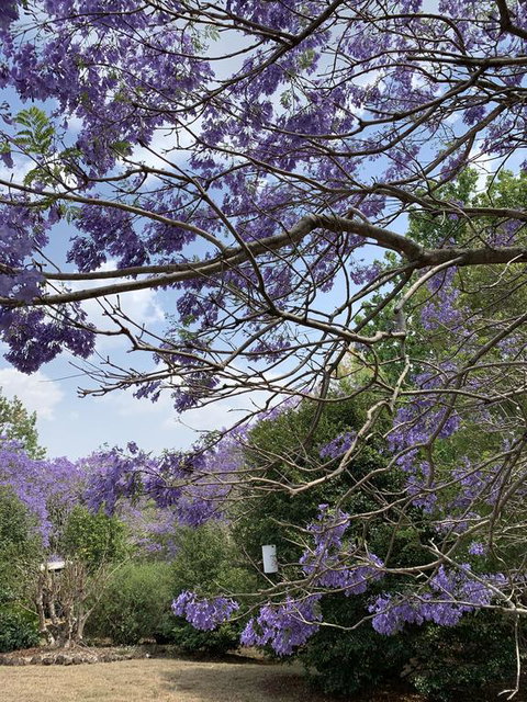 Wyndover Mountain Retreat - Accommodation Brunswick Heads 1