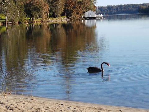 Wyreepi River Cottage - Accommodation Brunswick Heads 3