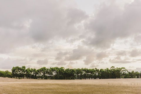 Yallingup Lodge Spa Retreat - Accommodation Brunswick Heads 0