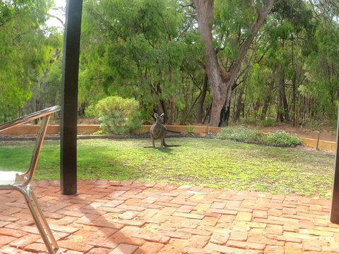 Yallingup Pet Friendly Bush Retreat - Accommodation Brunswick Heads 3