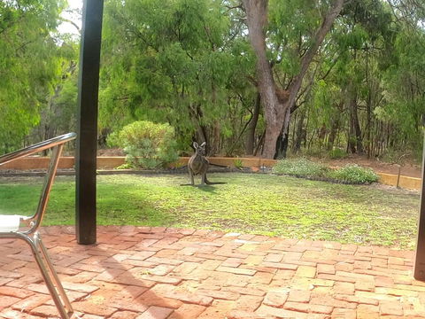 Yallingup Pet Friendly Bush Retreat - Accommodation Brunswick Heads 3