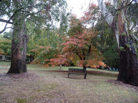 Alpine Riverside Cottages - Accommodation Brunswick Heads 4