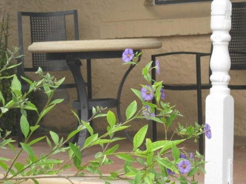 Amalie Cottage Waikerie Unit 1 - Accommodation Brunswick Heads 2