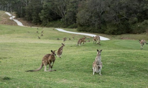 Anglesea River Apartment 23 - Accommodation Brunswick Heads 4