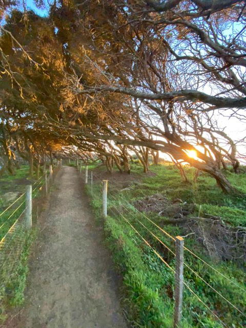 Anglesea Rivergums - Accommodation Brunswick Heads 3