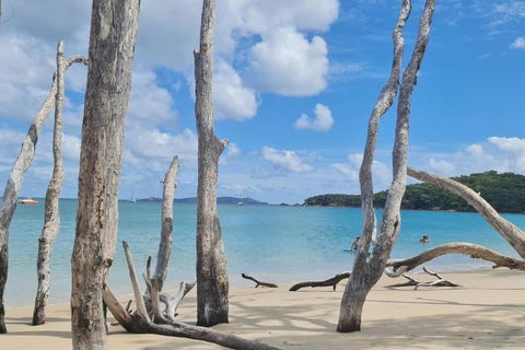 ARay At Cooee Bay - Apt B - Beach House Yeppoon - Accommodation Brunswick Heads 1