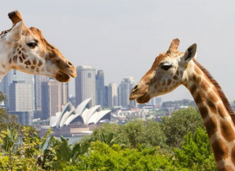 Art Deco 2-Bed Close To City And Harbour - Accommodation Brunswick Heads 0