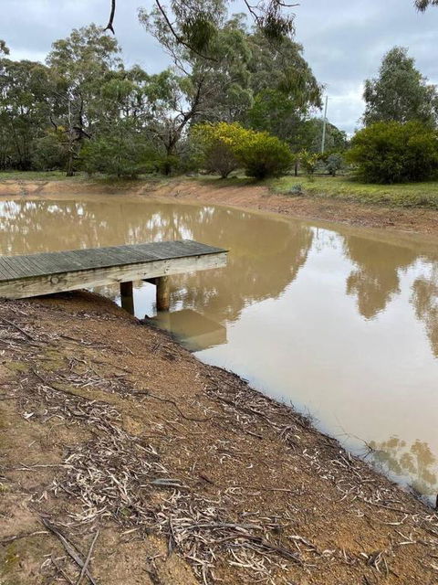 Aurora Cottages - Bellfield - Accommodation Brunswick Heads 3