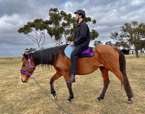Avondale Heights By Tiny Away - Accommodation Brunswick Heads 3
