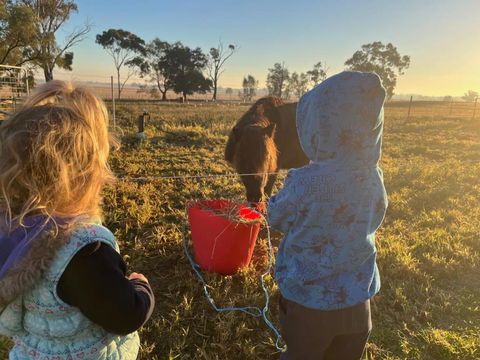 Avondale Heights By Tiny Away - Accommodation Brunswick Heads 4