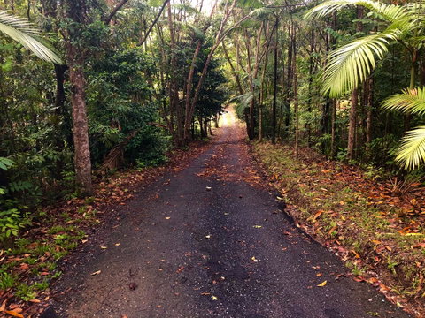 Daintree Manor B&B - Accommodation Brunswick Heads 12