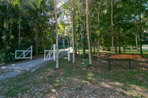 Daintree Manor B&B - Accommodation Brunswick Heads 18