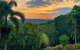 Daintree Manor B&B - thumb 13