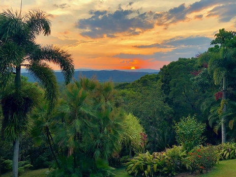 Daintree Manor B&B - Accommodation Brunswick Heads 13