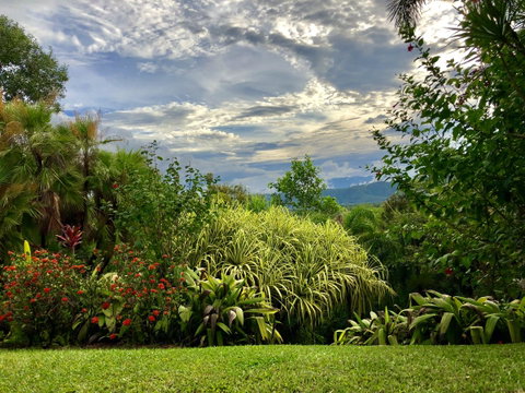 Daintree Manor B&B - Accommodation Brunswick Heads 2