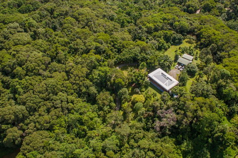 Daintree Manor B&B - Accommodation Brunswick Heads 14