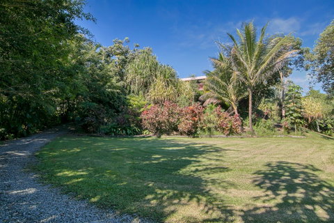 Daintree Manor B&B - Accommodation Brunswick Heads 19