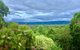 Daintree Manor B&B - thumb 0