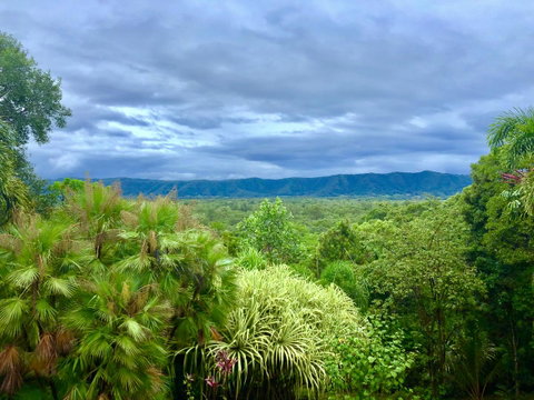Daintree Manor B&B - Accommodation Brunswick Heads 0
