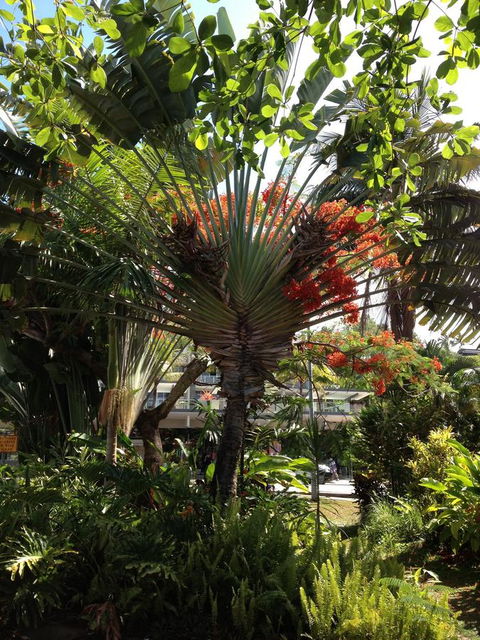 Port Douglas Apartments - Adults Only Oasis - Accommodation Brunswick Heads 39