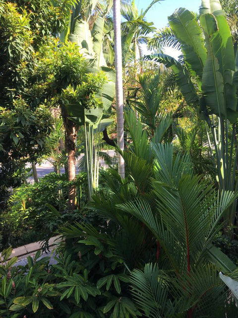 Port Douglas Apartments - Adults Only Oasis - Accommodation Brunswick Heads 1